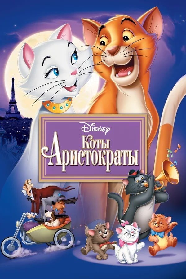 Коты аристократы қазақша
